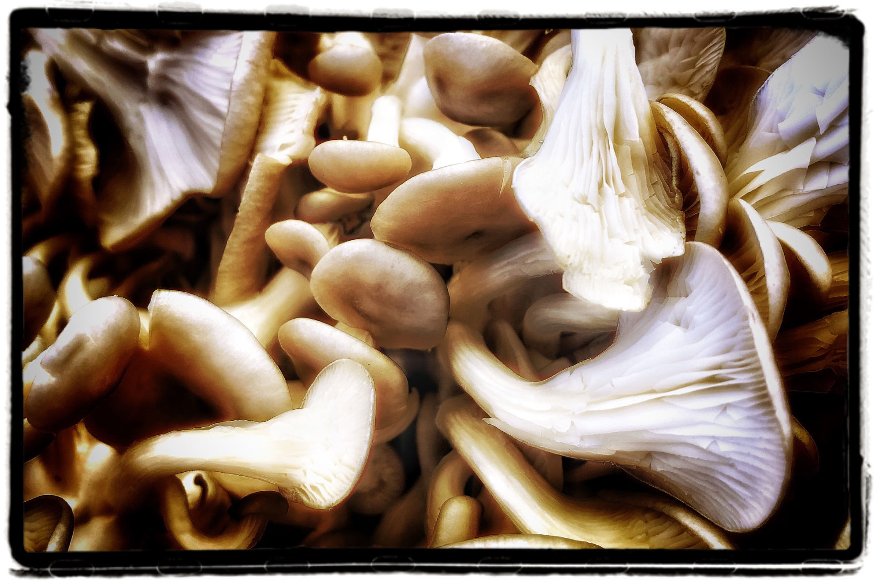 Farmers Market Produce